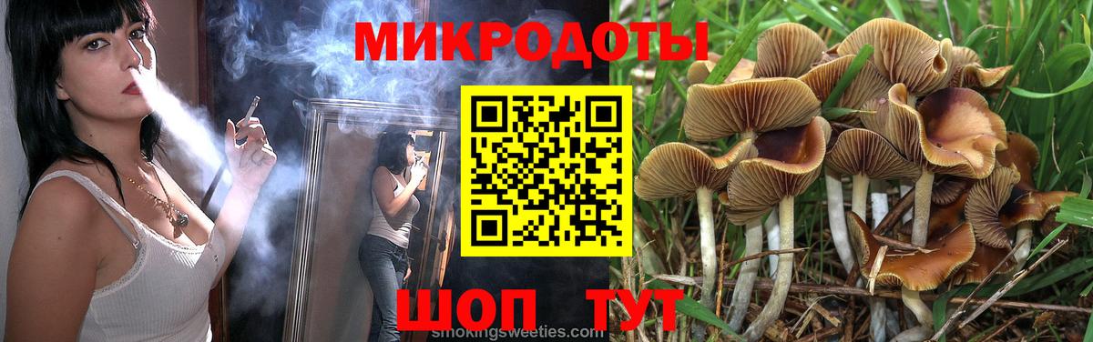 Псилоцибиновые грибы Magic Shrooms Гудермес