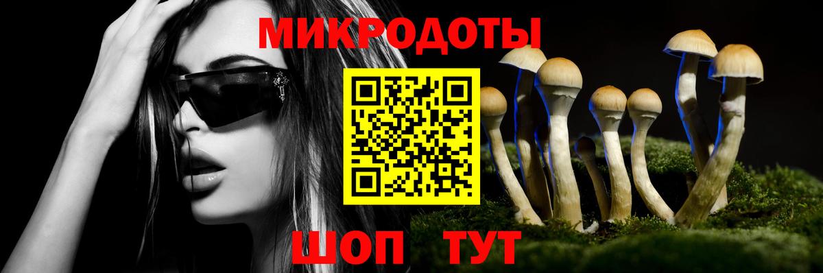 Гудермес  Галлюциногенные грибы ЛСД  Вход с VPN 